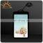 LED Card Holder With Necklace Lanyard Plastic Display Necklace Promotional Gifts