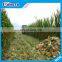 Corn Harvester Machine For Sale Corn Cob Harvester