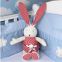 Doll doll stuffed toy big ear rabbit toy children birthday gift custom processed wedding gift
