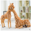 Husky ultra cute Shiba Inu plush toy For Wholesale
