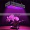 Wholesale Hydroponic Lamp Double Switch 900 Watt Full Spectrum LED Grow Light for Indoor Plants Growing