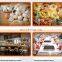 Dough mixer 25 kg/dough shaping cylinder machine/round dough balls maker