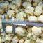 High quality cauliflower frozen