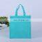 Whole Sale Foods Non Woven Small Cooler Bag with Customized Logo