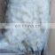 frozen giant squid flower equator squid flower pineapple cut squid carving flower