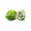 Best water soluble 10:1, 20:1  vietnam noni fruit extract powder