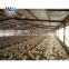 Free design metal frame chicken equipment bird farm poultry house price, chicken coop house