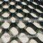 HDPE Geocell Web