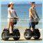 Good quality awesome two wheel electric vehicle electric chariot price