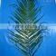 Wide varieties factory direct single flower cut foliage for home decoration