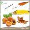 High Quality sweet almond oil