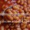 Nutritious and Delicious Canned Soybeans in Tomato Sauce