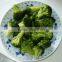 Frozen Broccoli Florets