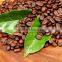 Discount for coffee bean roasted arabica coffee bean bulk roasted coffee bean