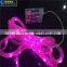 2015 hot sale led rope light for Europe market