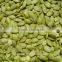 AA Grade Pumpkin Seeds Kernels With Super Quality for Sales