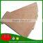 poplar Core Film Faced Plywood to Vietnam