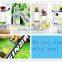 BPA-Free plastic sports water bottle for promotion gift