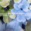 2016 newest beautiful colorful wallpaper with big flower pattern for home
