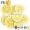 TTN 2016 Freeze Dried Fruit Dried Lemon Price