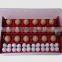 mini incubator for home use 24 eggs (Mob/whatsapp:0086-15266968635)