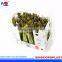 Plastic Vegetables Packing Box