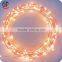 Most Popular Products Micro LED Copper Silver Wire Seed Starry Light String