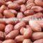 Peanut Kernel JAVA 80-90 COUNT
