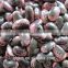 harvesting kidney beans, 2014 black kidney beans, beans price
