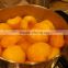 High quality market price fresh Canned yellow peach