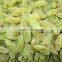 Wholesale Green Raisin