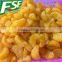 Price for frzoen/IQF mandarin orange segments of new crop