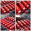 High Quality Hydraulic Oil cylinder