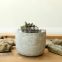 Desktop decoration lightweight small cement planter pot