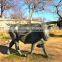 2015 Hot Sale Garden Decor Bronze Longhorn Steer Sculpture