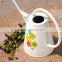 cheap galvanized printing metal White Watering Can