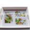 2015 New design food tray with photo