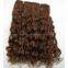 Human Hair Weft