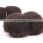 Unprocessed 5A Brazilian Virgin Human Hair Cheap Tight Afro Kinky Curly Hair Extensions Wholesale