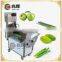 Double head vegetable cutting machine fruit cutting machine