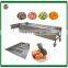High efficient orange grader apple sorting machine mango sorting machine for sale