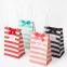 Foldable shopping luxury cute paper bag