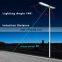 High power outdoor IP65 60w 100w 300 watts eco solar street light with pole alloy