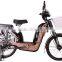 2015 hot selling cheap cargo loading electric motor bike for sale