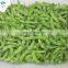 Wholesale IQF Green Soy Beans