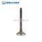 High Wear Resistance Auto Engine Parts Qd32 Engine Valve