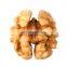 food flavor walnut plant walnut shell walnut kernels light quarters