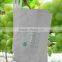 Insect/chemical prevention grape growing bag