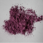 High Acid Resistant Appliance Glass Pigment Kitchen Cooker Hood Paste Water Based