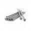 Galvanized Common Nails